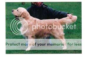 Styal Sky Master