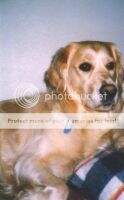RUS Graigiehill Perdita RUS Graigiehill Perdita