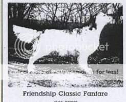 Friendship Classic Fanfare