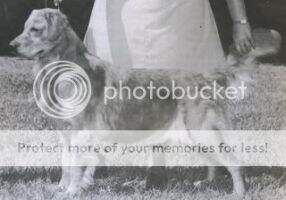 Honor's Golden Fleece