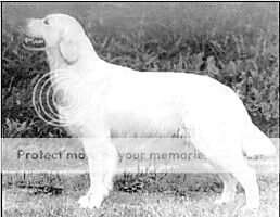 Mjaerumhogda's Xylina