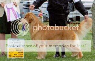 Windy Run's Jazz Sensation