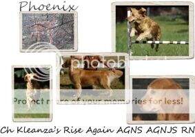Kleanza's Rise Again AGIS AGIJS Kleanza's Rise Again AGIS AGIJS