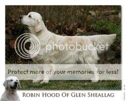 Robin Hood of Glen Sheallag Robin Hood of Glen Sheallag
