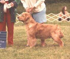 Camelot's Topaz Lonny