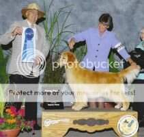 VBIS CH Redog's N' Mariah's Tickled Pink BVISS (#10 all-breed 2006) VBIS CH Redog's N' Mariah's Tickled Pink BVISS (#10 all-breed 2006)