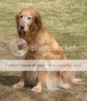 Carter's Penny Lane