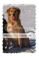 Sunshine Token's Sophie