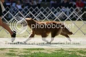 Rdo's Miss America Rdo's Miss America