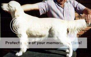 Imatriever Memphis Belle Imatriever Memphis Belle