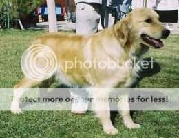 Addys Sister Madison