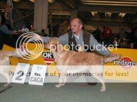 Sundance Golden?s Honour