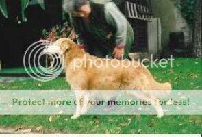 Lawnwoods Pickwick Lawnwoods Pickwick