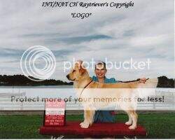 Int-Nat-CH Raytriever's Copyright