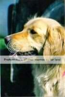 Kuventre You Were Born Tafly