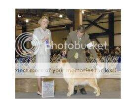 Showstopper's Homeward Bound Showstopper's Homeward Bound