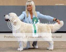 Canina Paco Rabanne Of Fenwood JW Canina Paco Rabanne Of Fenwood JW