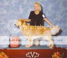 & Nat. CH/Intl & Nat. Puppy CH Eberly's Miracle from Heaven