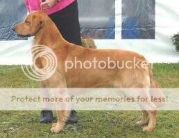 Zaniri's Justa Happy Lad ***
