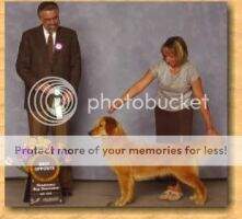 Dalane-Season From This Moment On