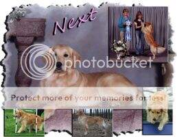 AGMCHV Goldcker's What's Next RN TNE WVN AGMCHV Goldcker's What's Next RN TNE WVN