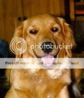 Nilla Cambridge Dunshire Nilla Cambridge Dunshire