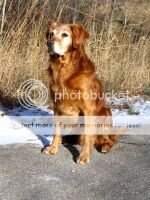 Tamarack's Litter Buster