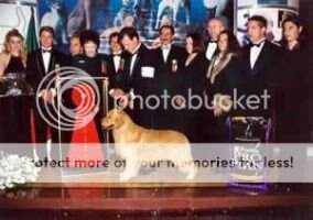 MEX CH GCM DON JUAN (PETERSON) MEX CH GCM DON JUAN (PETERSON)