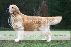 Catcombe Corblimey JW Catcombe Corblimey JW
