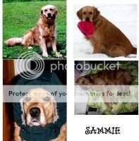 Marithyme's Anather Samantha