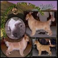 Yukon's Turn The Page Am/Can Yukon's Turn The Page Am/Can