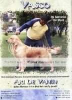 Ch. Pe. Gr. Ch. Pe. Ch. Ch. Lat. Ari de Vanin Ch. Pe. Gr. Ch. Pe. Ch. Ch. Lat. Ari de Vanin