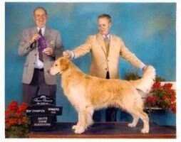 Quapaw's I Believe 'N Miracles