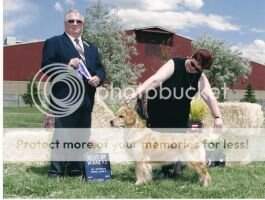 UKC CH. Sunnyglen May C's Couture