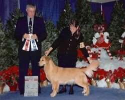 Abelard Bld N Beautifl At Snowtree Abelard Bld N Beautifl At Snowtree