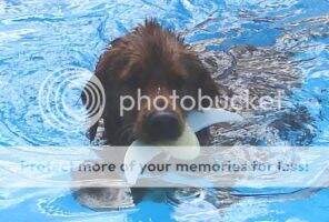 Sunshine Murphy 2003