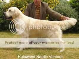 Kulawand Nordic Venture