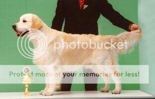 JWW'03 Donald (NHSB 2404880)