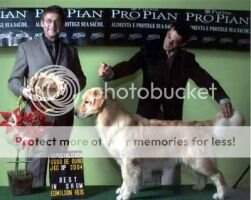 MBIS BISS.BrCh &GCh/ Pan Ch. Lua Chasse