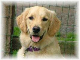 Molly Conway Burczak