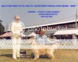 Th. Ch. BIE Ina.Ch. Goodtime's Moon Over Miami