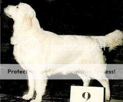 Sirius la Qu?becoise Sirius la Qu?becoise
