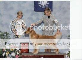 Faragold Touched By An Angel BPIS