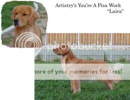 Artistrys You'Re A Pisa Work