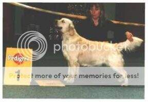 Laura Goldenpack Marty Laura Goldenpack Marty