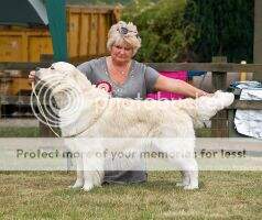 Squirrelsmead Digby of Canina JW Squirrelsmead Digby of Canina JW