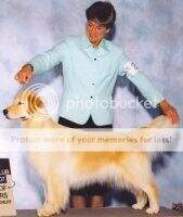Redog Dixie