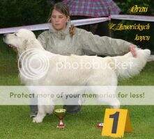 CZ & SK CH CZ & SK Oran z Javorickych kopcu National winner CZ & SK CH CZ & SK Oran z Javorickych kopcu National winner