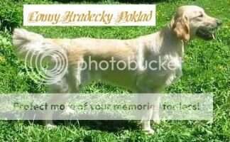 Conny Hradecky poklad