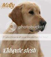 Molly Chlupate stesti